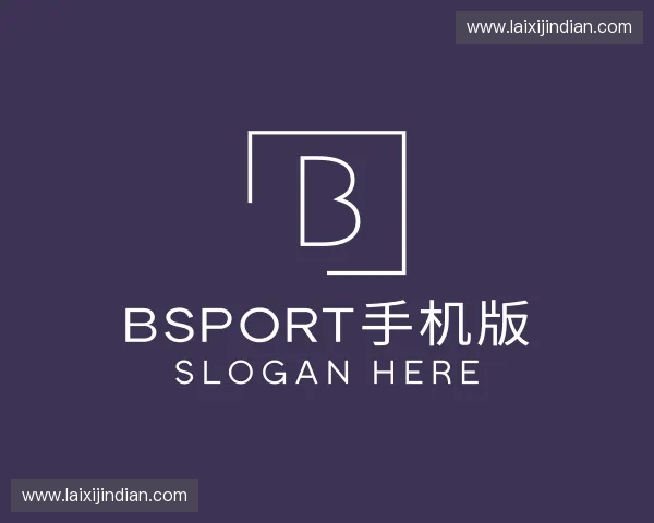 了解Bsport手机版